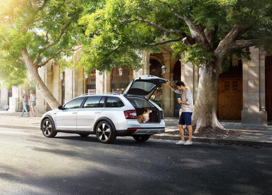  Skoda Octavia Combi (5E) 2017 года  (CN) (фото 10 из 14)